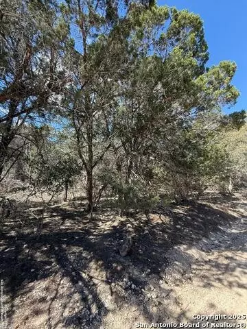 tbd Paladin, Bandera, TX 78003