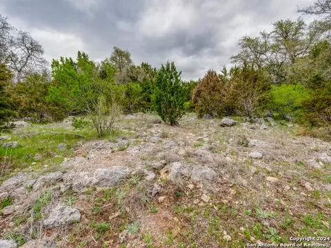 192 Macaw Ln, Spring Branch, TX 78070 photo 21