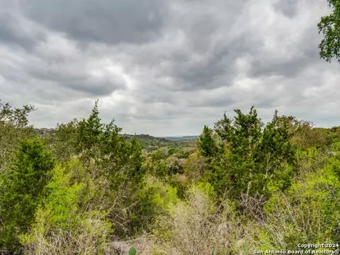 192 Macaw Ln, Spring Branch, TX 78070 photo 15
