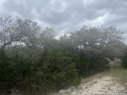 192 Macaw Ln, Spring Branch, TX 78070 photo 3