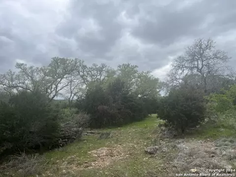 192 Macaw Ln, Spring Branch, TX 78070 photo 9