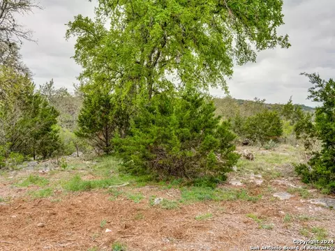 192 Macaw Ln, Spring Branch, TX 78070 photo 16