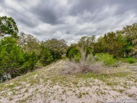 192 Macaw Ln, Spring Branch, TX 78070 photo 22