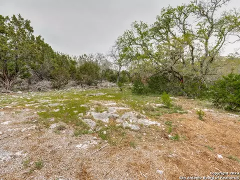 192 Macaw Ln, Spring Branch, TX 78070 photo 19