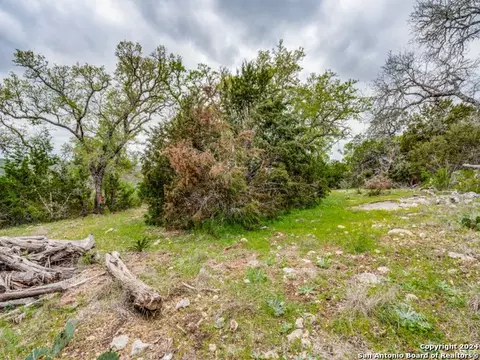 192 Macaw Ln, Spring Branch, TX 78070 photo 20