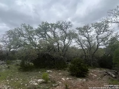 192 Macaw Ln, Spring Branch, TX 78070 photo 4