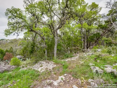 192 Macaw Ln, Spring Branch, TX 78070 photo 18