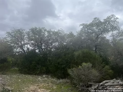 192 Macaw Ln, Spring Branch, TX 78070 photo 10