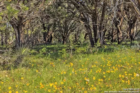 Other - 2937 Langes Mill Rd, Doss, TX 78618 photo 36 of 38