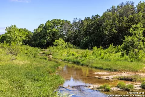 View/Area - 2195 Langes Mill Rd, Doss, TX 78618 photo 7 of 7