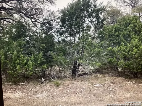 lot1403 Asa Harold, Blanco, TX 78606