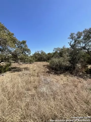 137 Restless Wind, San Antonio, TX 78070 photo 7