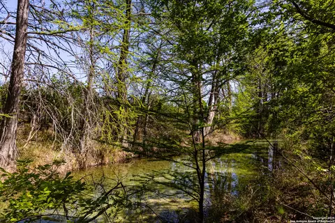 View/Area - 816 Cornelius Rd, Utopia, TX 78884 photo 1 of 12