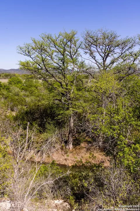Other - 816 Cornelius Rd, Utopia, TX 78884 photo 3 of 20