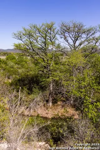 View/Area - 816 Cornelius Rd, Utopia, TX 78884 photo 4 of 14