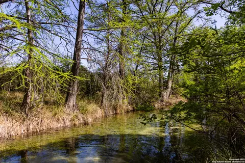 Other - 816 Cornelius Rd, Utopia, TX 78884 photo 2 of 20