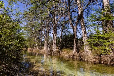 Other - 816 Cornelius Rd, Utopia, TX 78884 photo 4 of 20