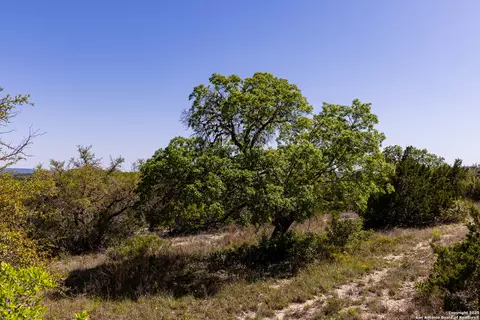 Other - 816 Cornelius Rd, Utopia, TX 78884 photo 5 of 20