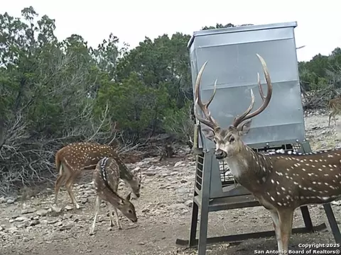 tbd W Nueces Rnch #LOT 20, Rocksprings, TX 78880