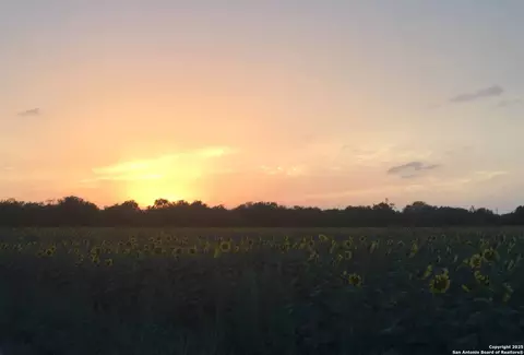 Other - 304 County Road 6611, Devine, TX 78016 photo 17 of 25