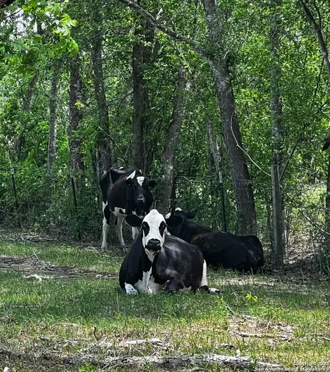 Other - 304 County Road 6611, Devine, TX 78016 photo 19 of 25