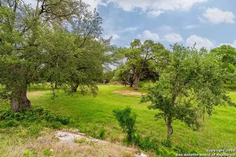 107 Nicholas Weeks, Blanco, TX 78606 photo 3