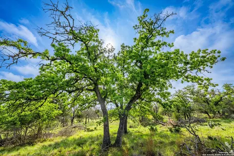 Other - 563 J B Rd, Harper, TX 78631 photo 16 of 23