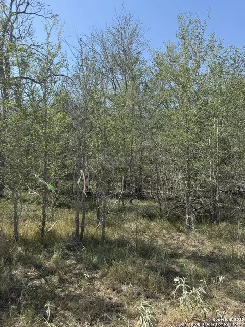 421 Kerr Ave, Sutherland Springs, TX 78161