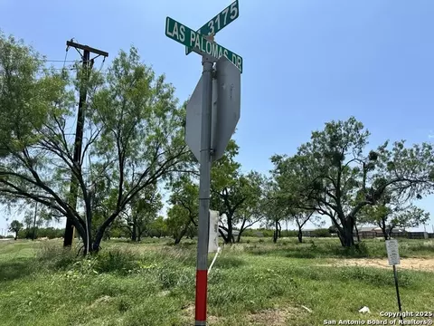 00 Las Palomas Track 2, Lytle, TX 78052 photo 8