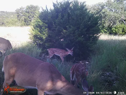 Other - 3527 Stapp Rnch, Junction, TX 76849 photo 28 of 31
