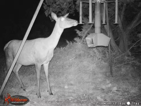 Other - 3527 Stapp Rnch, Junction, TX 76849 photo 24 of 31