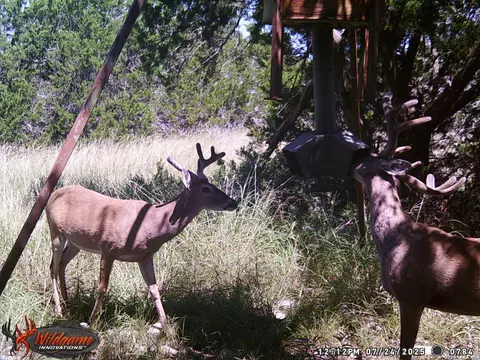 Other - 3527 Stapp Rnch, Junction, TX 76849 photo 29 of 31