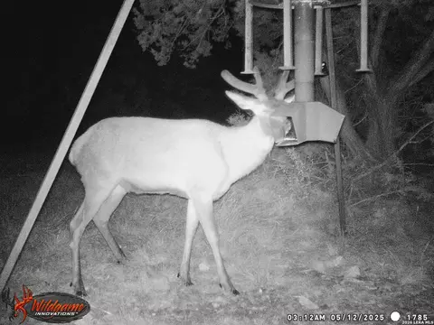 Other - 3527 Stapp Rnch, Junction, TX 76849 photo 25 of 31