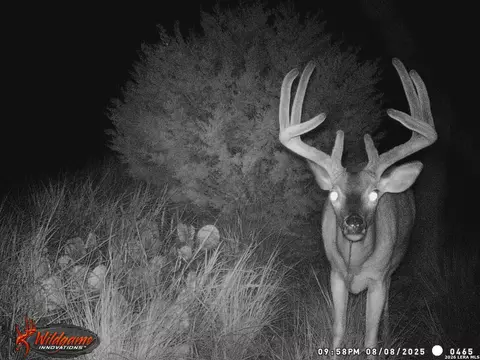 Other - 3527 Stapp Rnch, Junction, TX 76849 photo 22 of 31