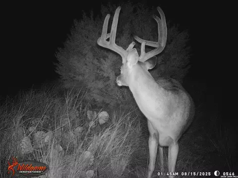 Other - 3527 Stapp Rnch, Junction, TX 76849 photo 23 of 31