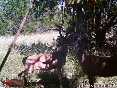 Other - 3527 Stapp Rnch, Junction, TX 76849 photo 30 of 31