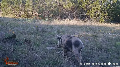 Other - 3527 Stapp Rnch, Junction, TX 76849 photo 27 of 31