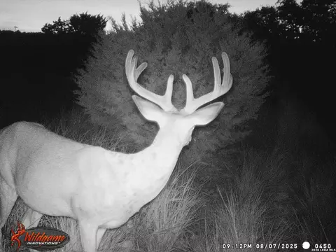 Other - 3527 Stapp Rnch, Junction, TX 76849 photo 21 of 31
