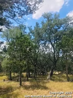26 Mustang Xing, Pipe Creek, TX 78063