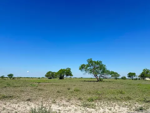 lot2 0 Cr 197, Falls City, TX 78113