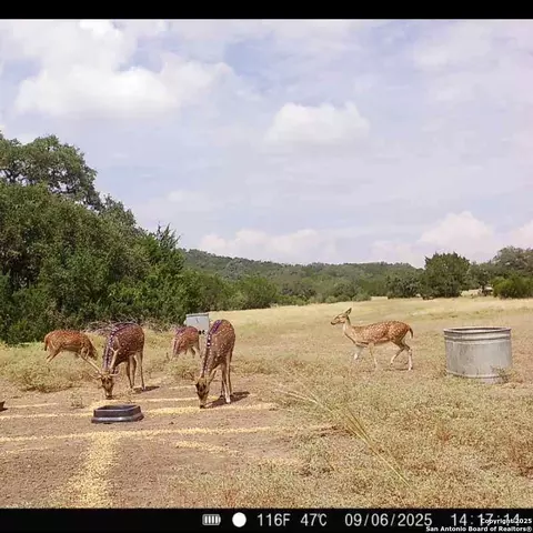 Other - 5430 Cr-111, Utopia, TX 78884 photo 5 of 13