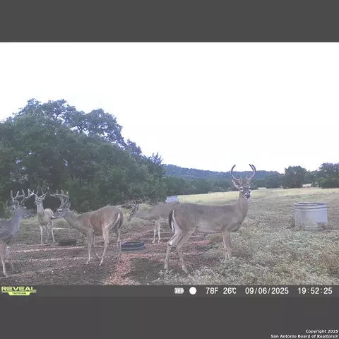 Other - 5430 Cr-111, Utopia, TX 78884 photo 6 of 13