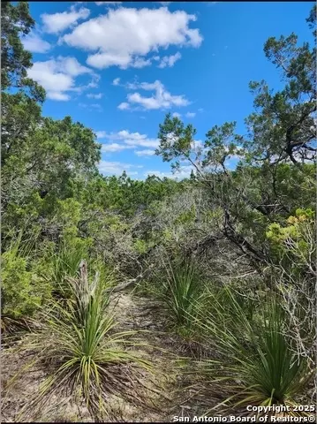 268 Scenic Hls, Canyon Lake, TX 78133
