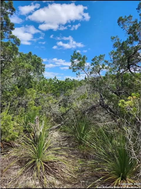 268 Scenic Hls, Canyon Lake, TX 78133