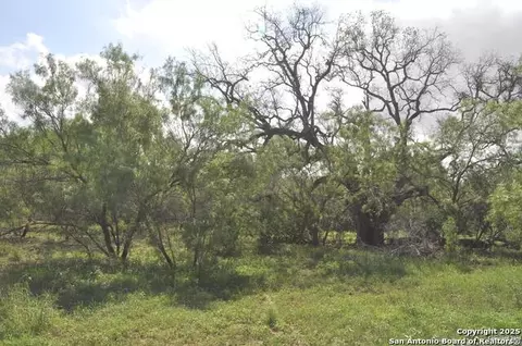 tbd Cr 662, Devine, TX 78016 photo 5