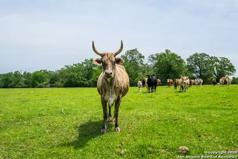 3671 County Road 455, Thorndale, TX 76577