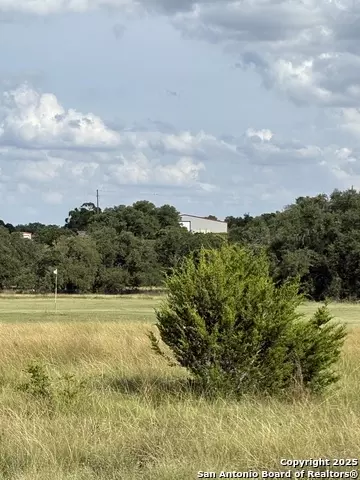 222 Peter Kleid, Blanco, TX 78606 photo 3