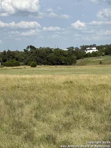 222 Peter Kleid, Blanco, TX 78606 photo 4