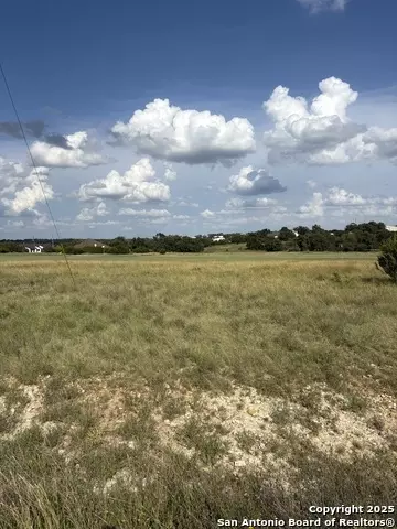 222 Peter Kleid, Blanco, TX 78606 photo 2