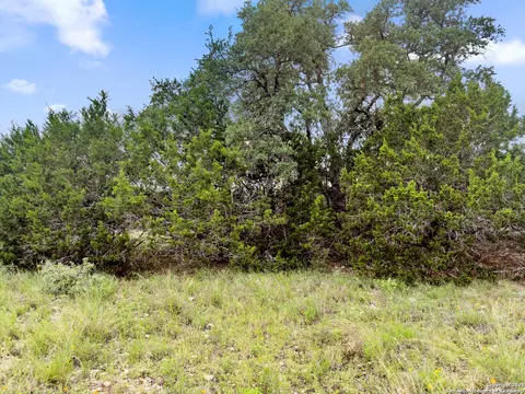 141 Vista View Pl, Spring Branch, TX 78070